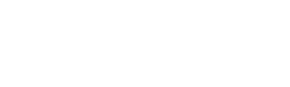 DIM Logo_weiß_trans